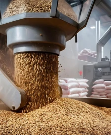 malt-seeds